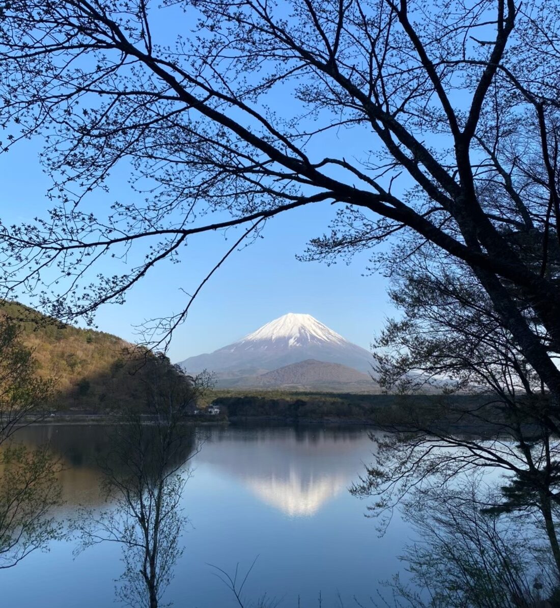 富士山と精進湖