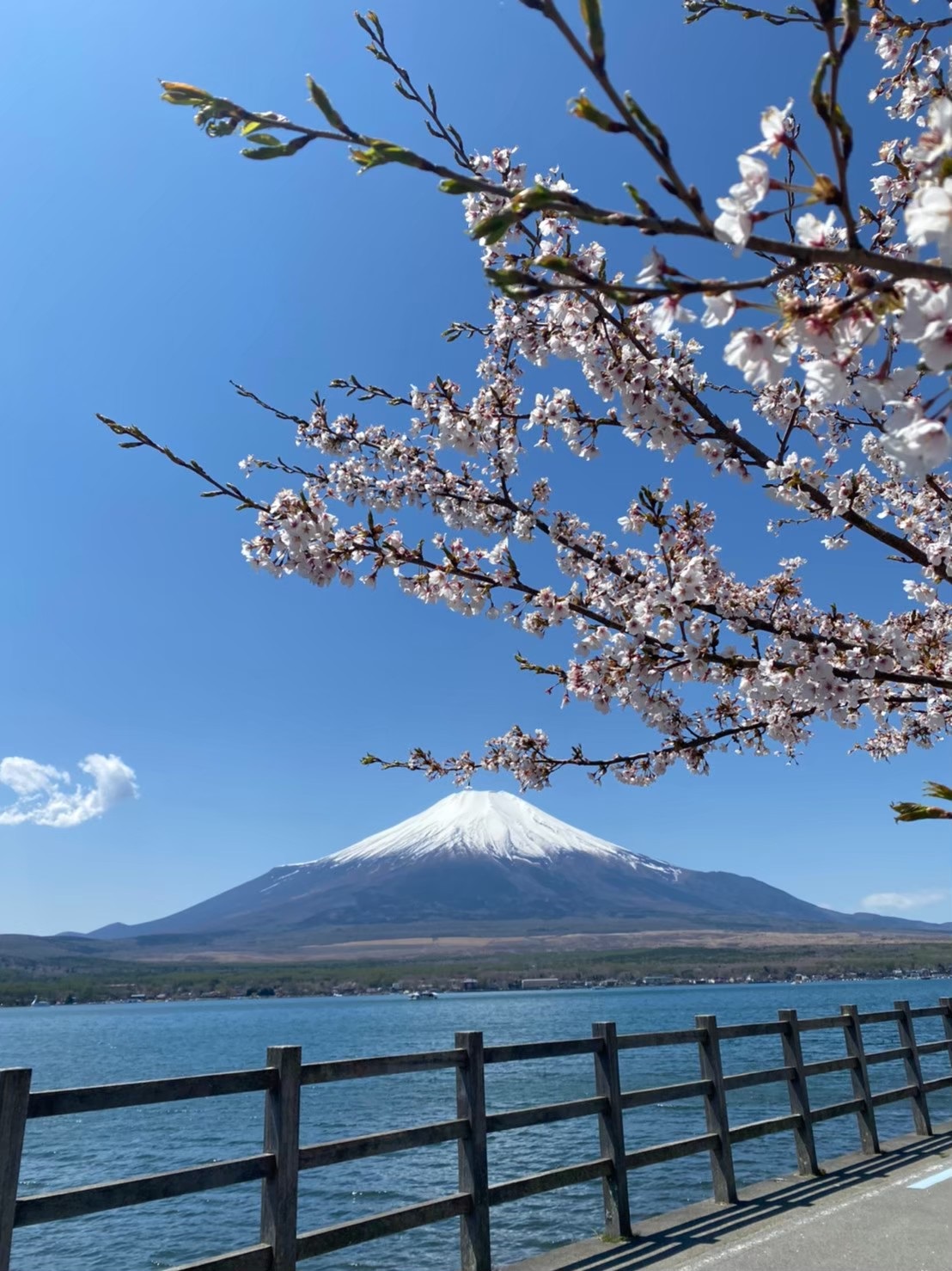 富士山と山中湖