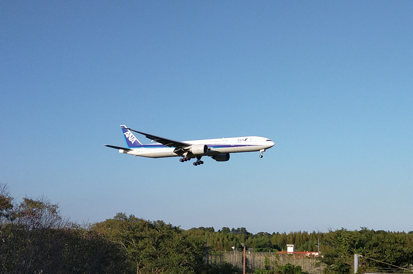 さくらの山公園から見える飛行機