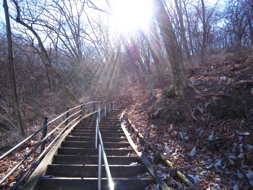 伊香保から上の山公園までの山道