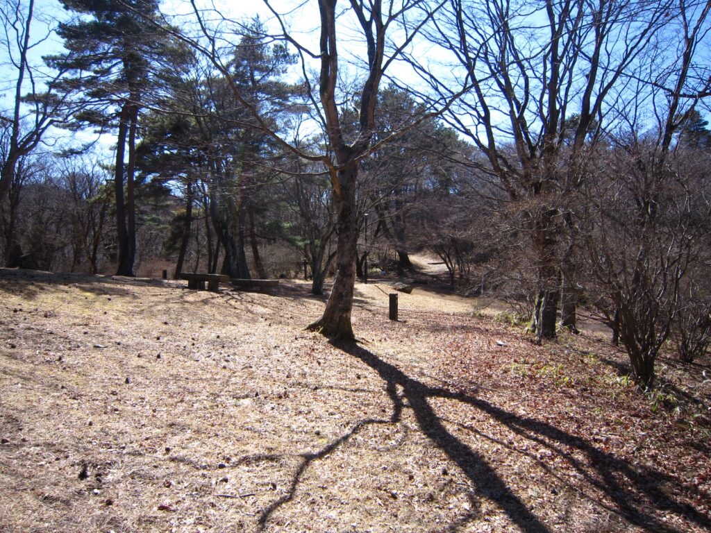 上ノ山公園