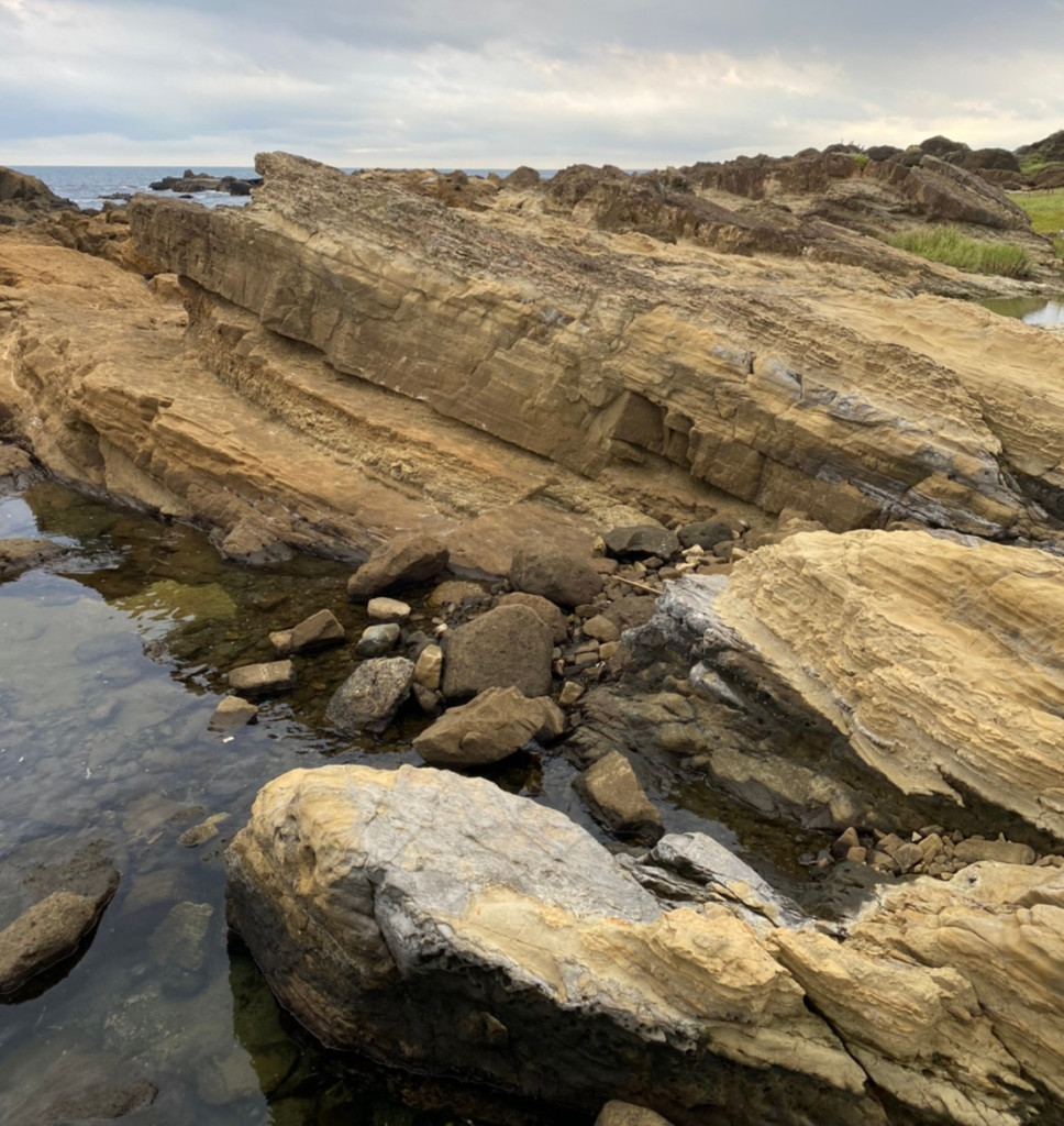 海岸の岩と地層
