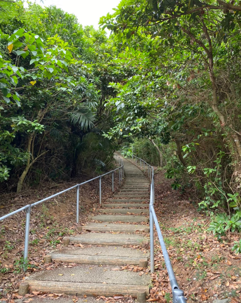 小浜島大岳展望台までの階段