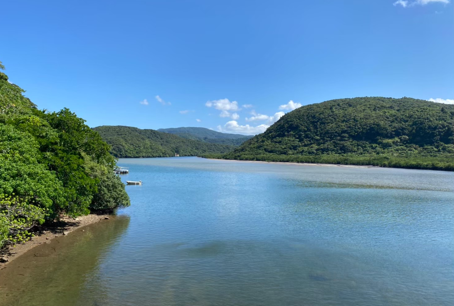 浦内川