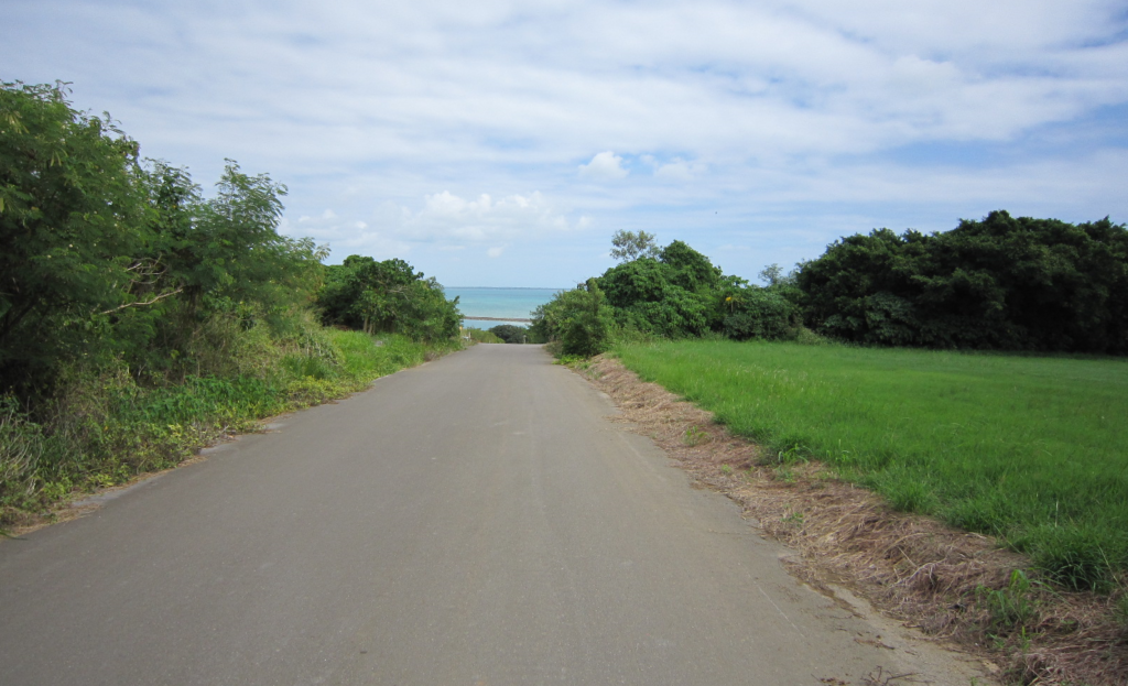 小浜島の道路