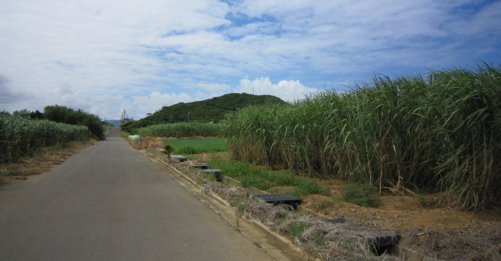 小浜島の道路
