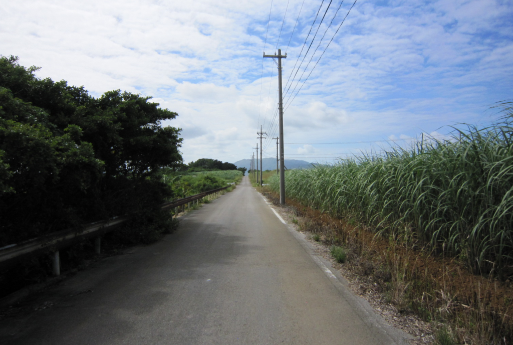 小浜島の道