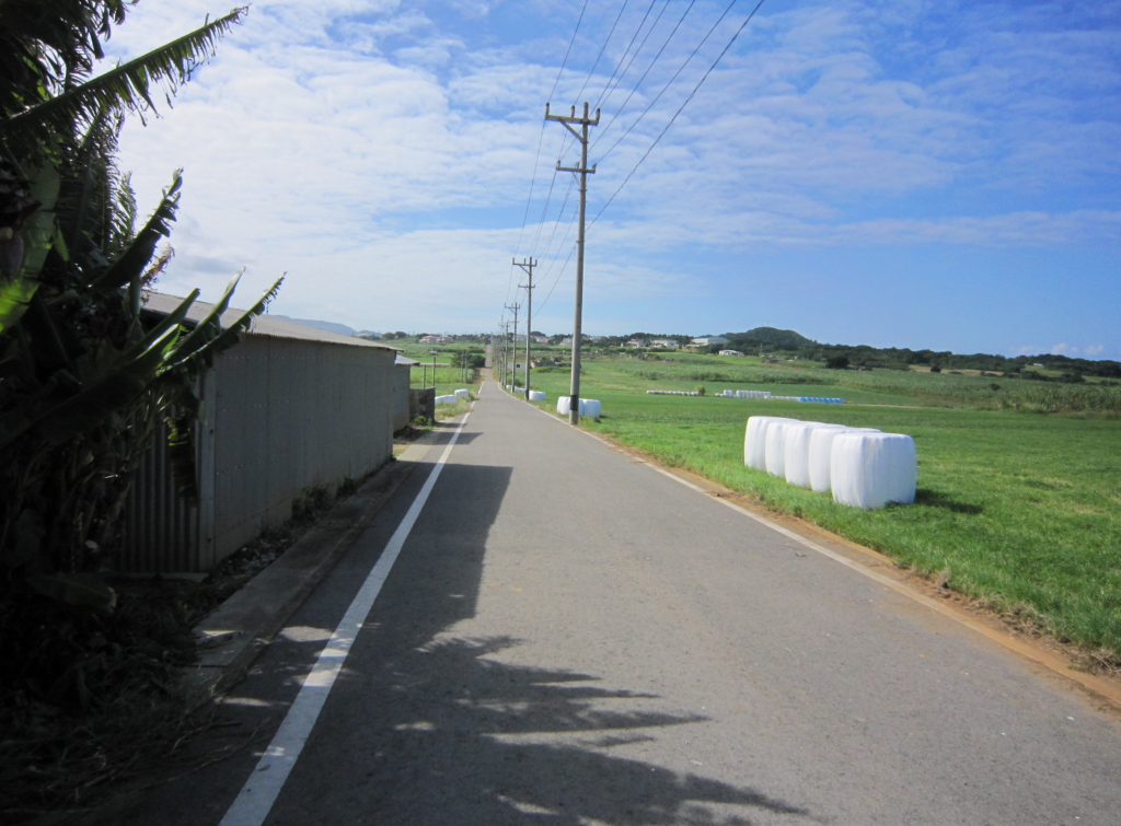 小浜島のまっすぐな道