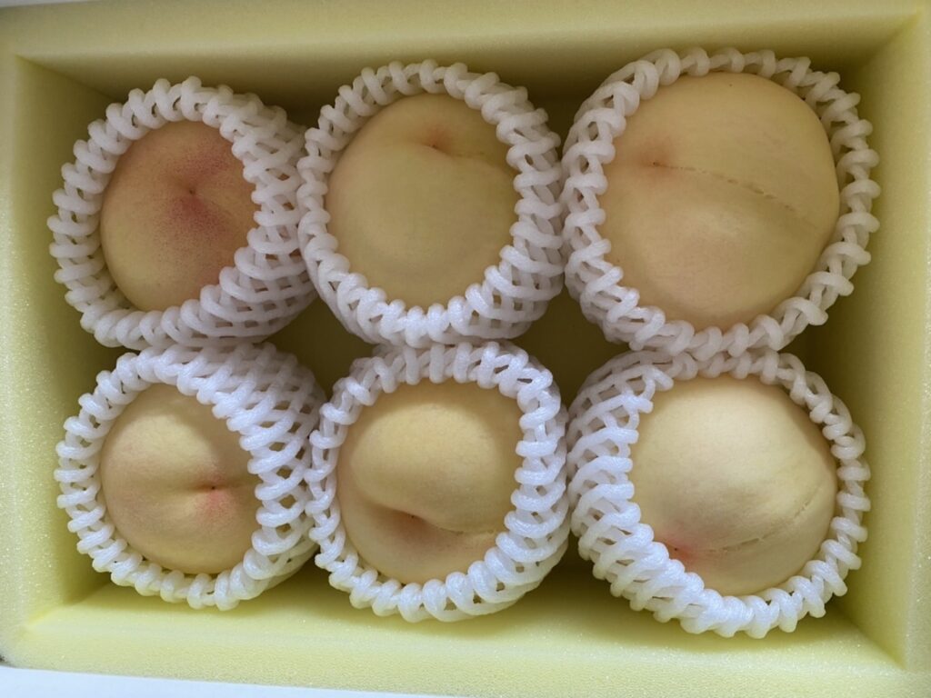 岡山の桃