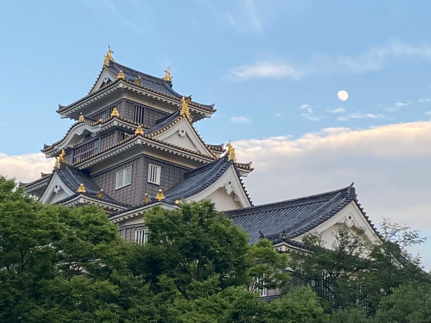 外壁が黒いことで有名な岡山城