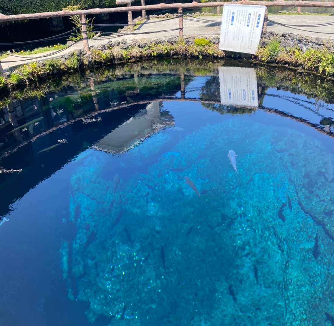 忍野八海