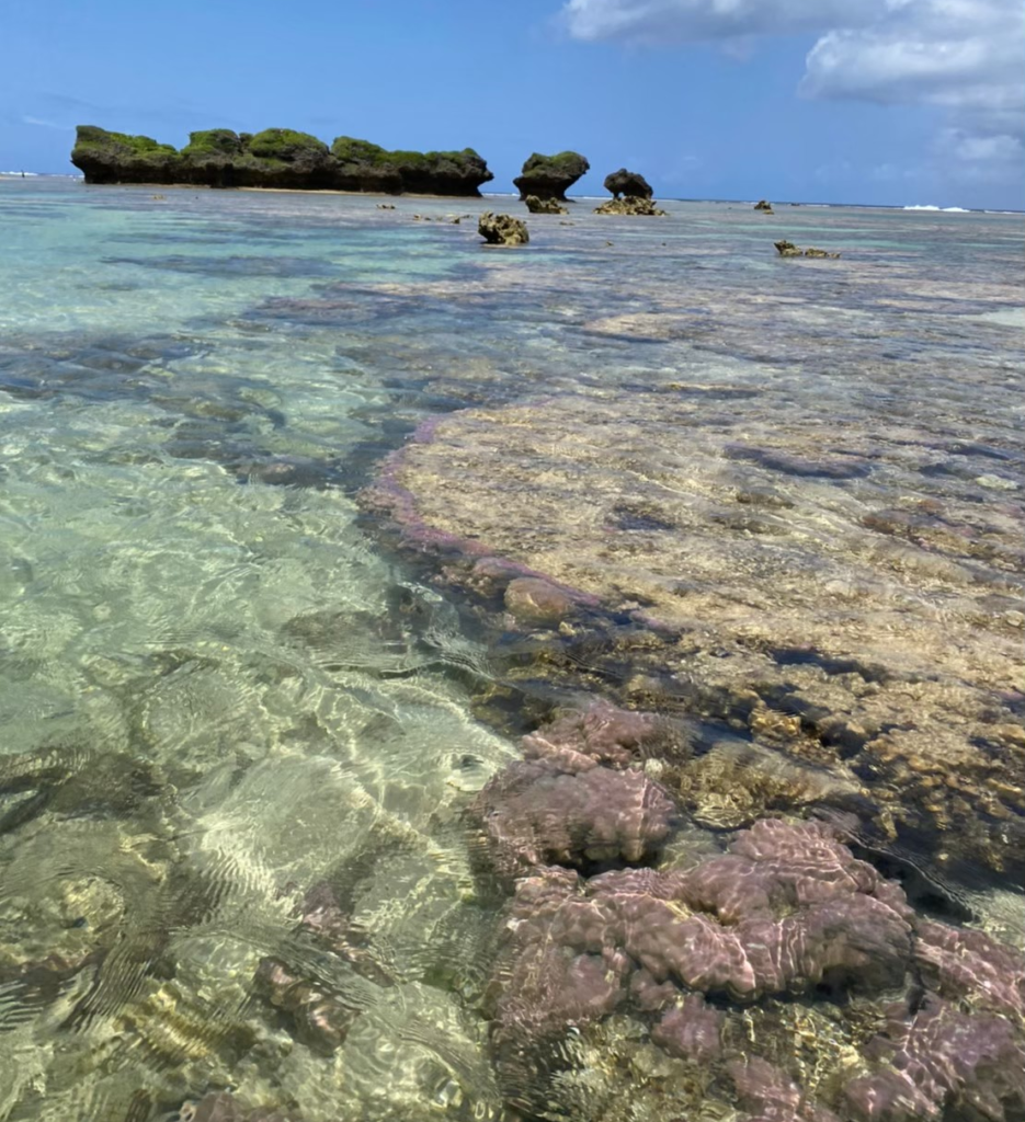 透き通ったサンゴの海