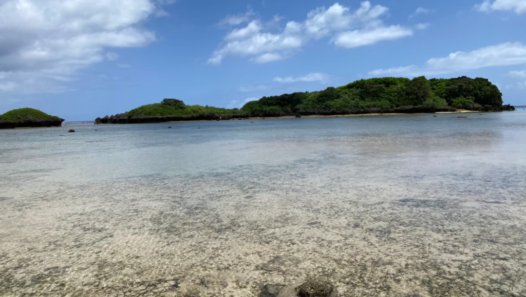 透き通った海