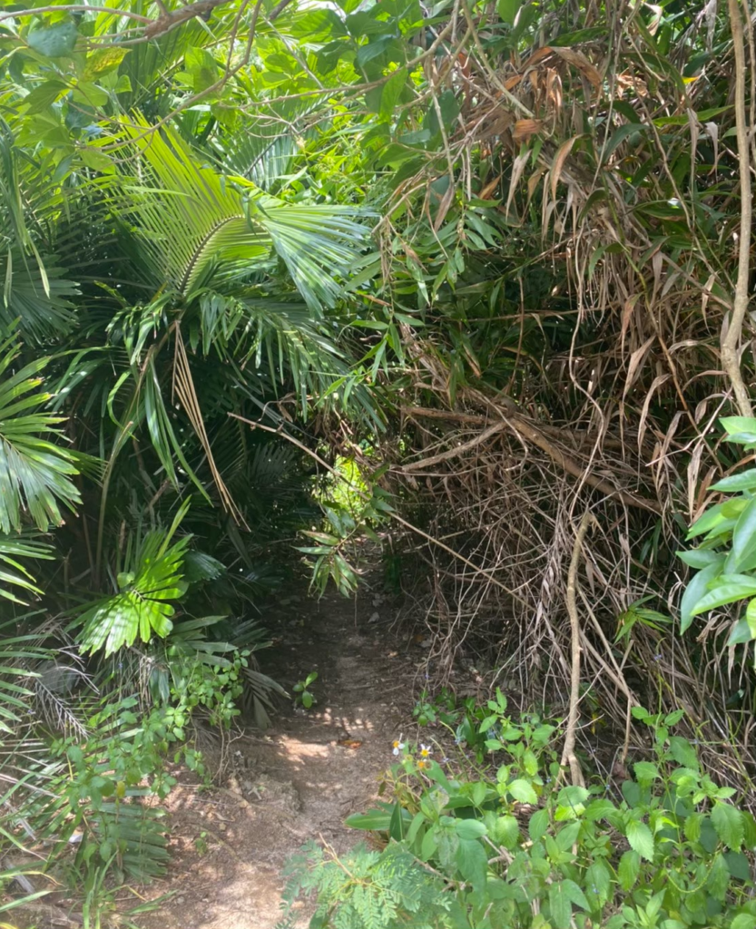 ウナリザキ公園からビーチに出るところ