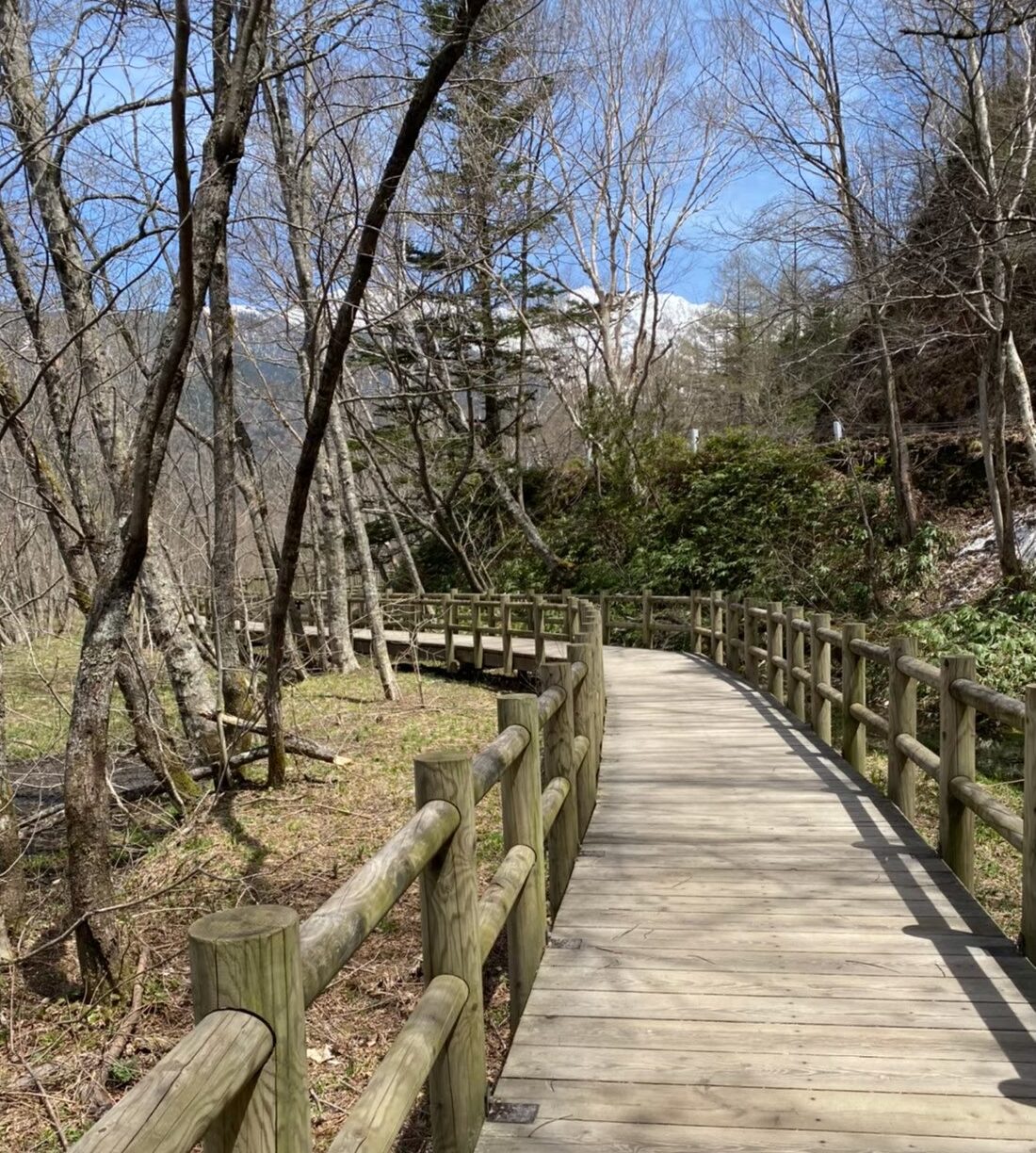 上高地の歩道