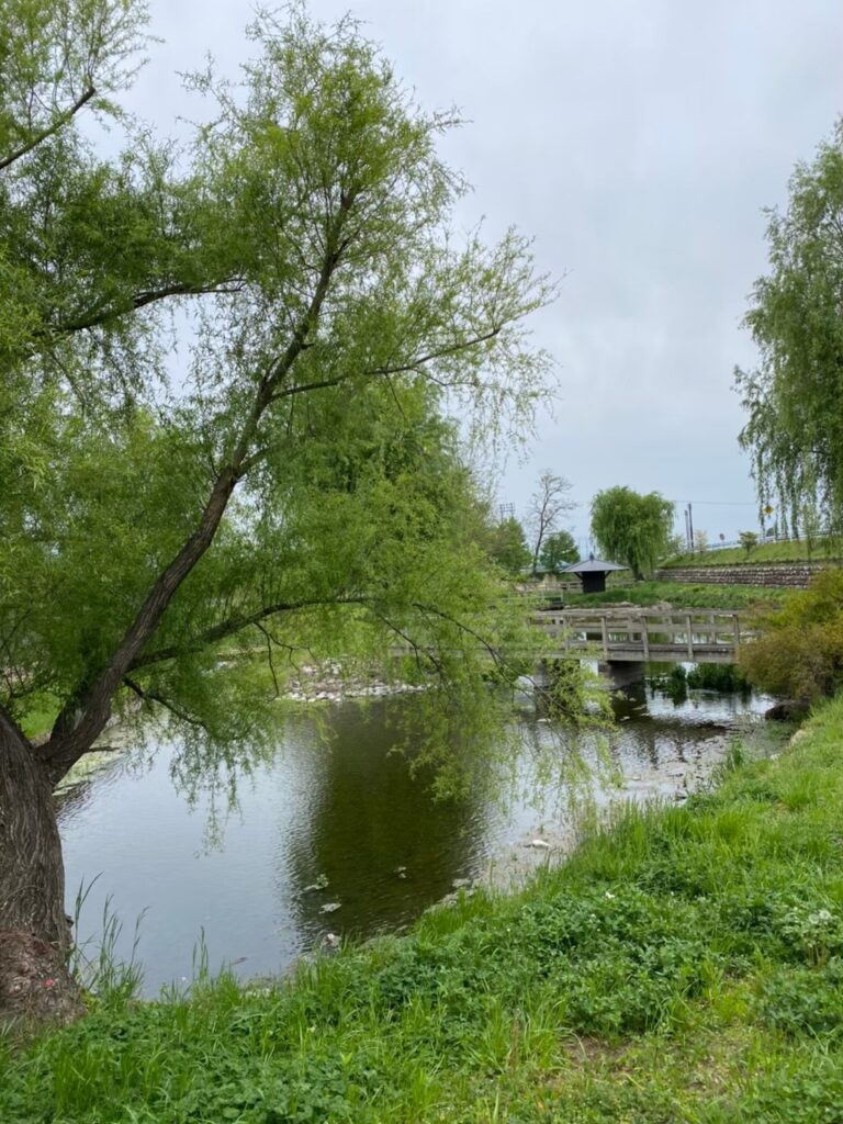 安曇野わさび田湧水群公園