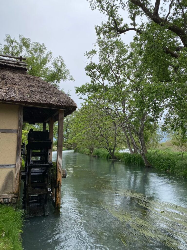 わさび農園の水車と川