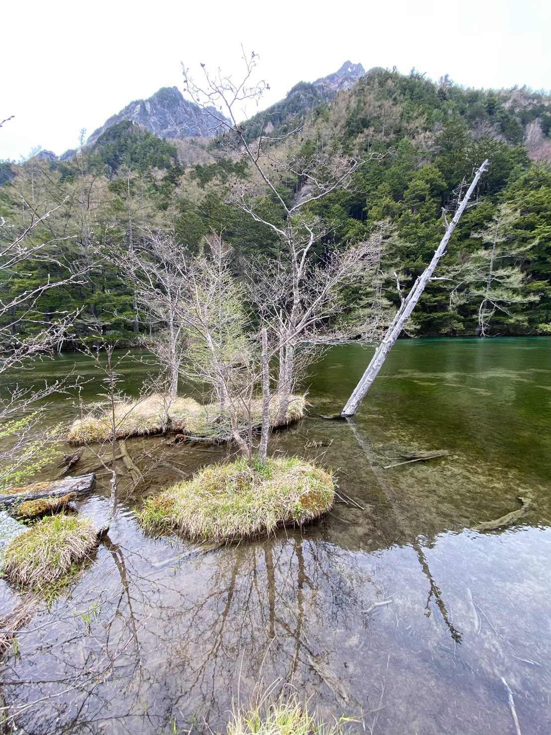 透き通った明神池