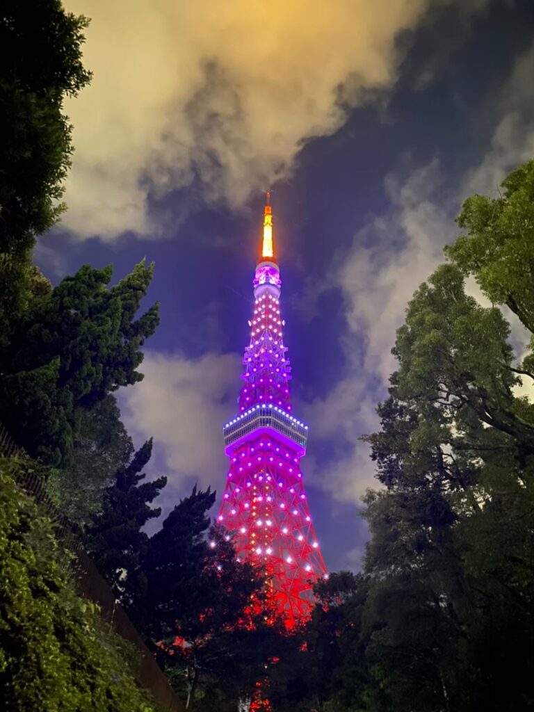 遠目にみた東京タワー