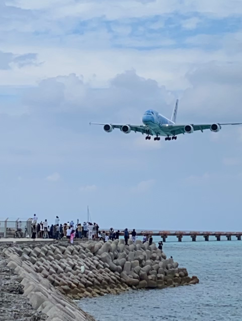 A380ほぬ①