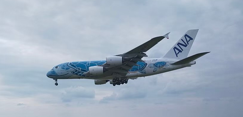 A380ほぬ②真横から