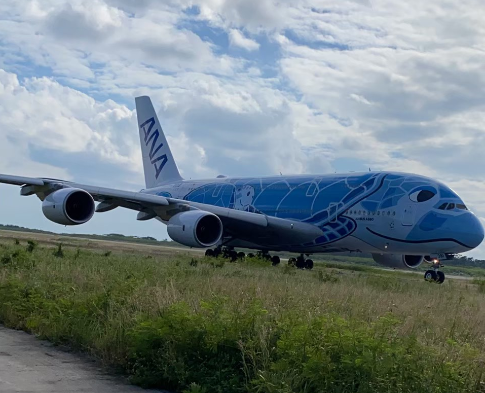 A380ほぬ④地上走行中