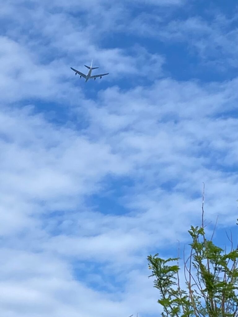 成田に帰っていくほぬ