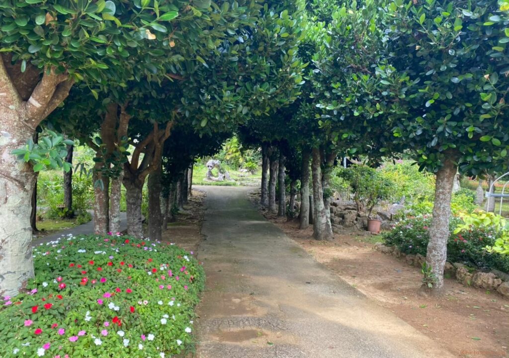 宮古島市熱帯植物園