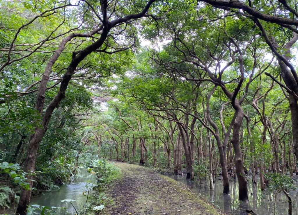 宮古島市熱帯植物園