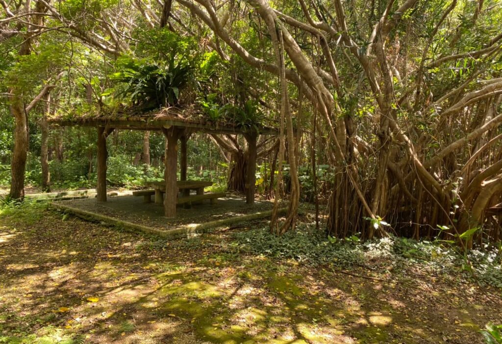 宮古島市熱帯植物園