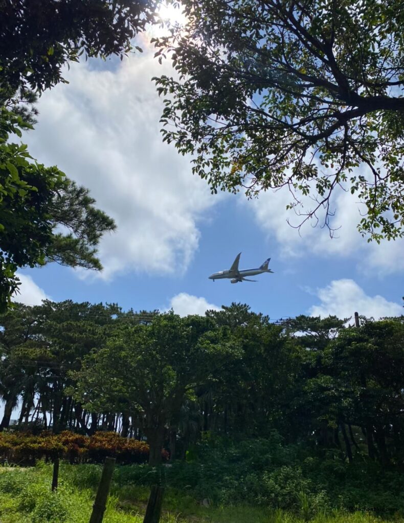 宮古島市熱帯植物園から見る飛行機