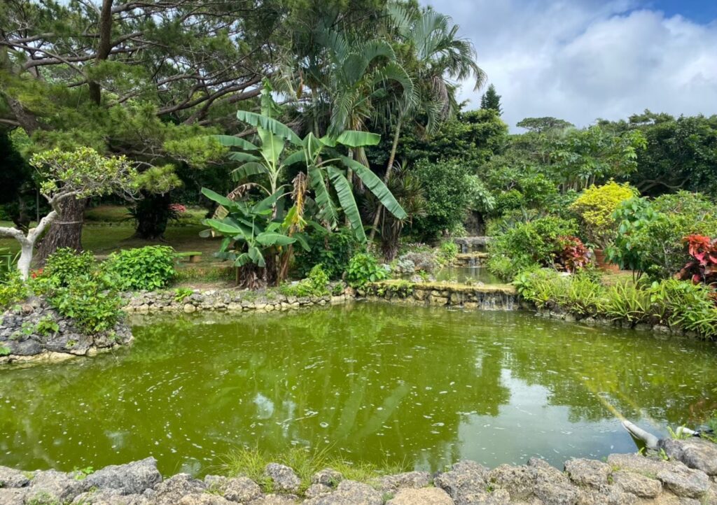 宮古島市熱帯植物園の池