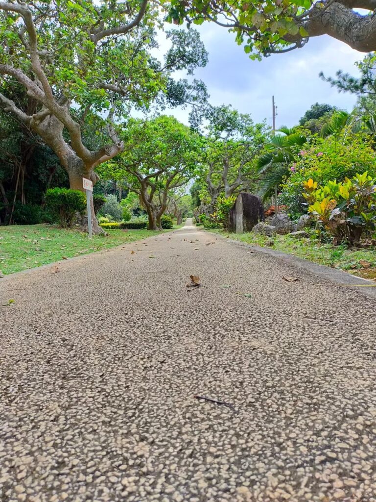 植物園の中の道