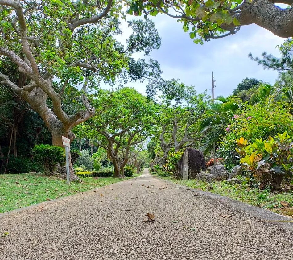 植物園の中の道