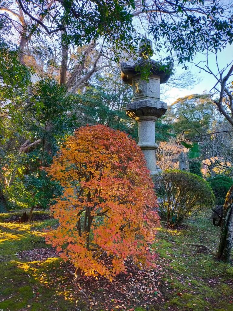 成田山公園の庭