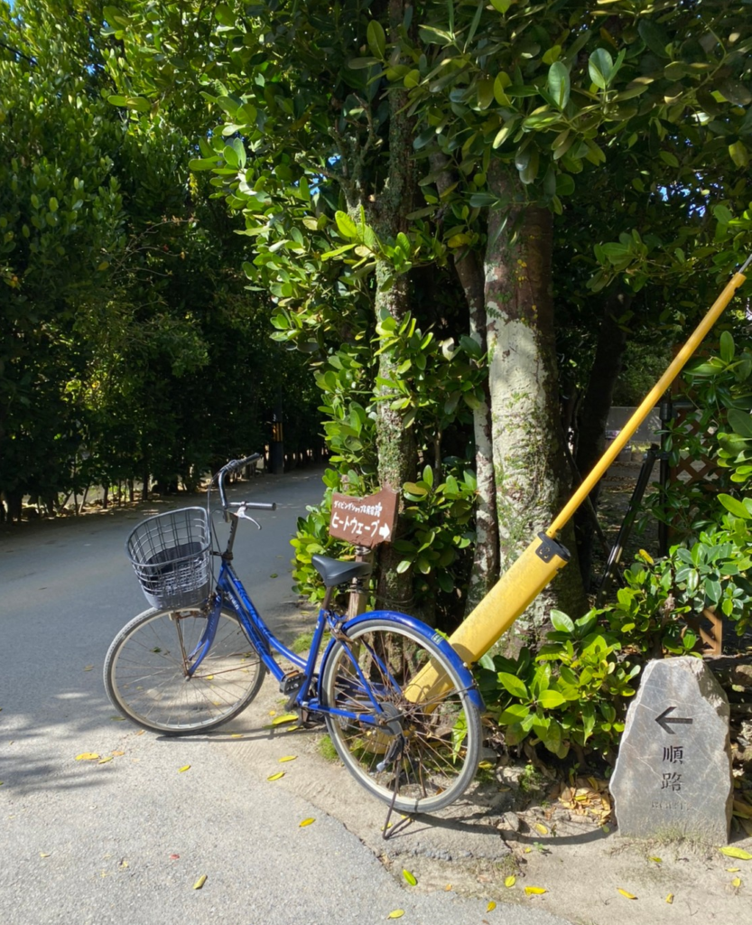 フクギ並木で借りれる自転車