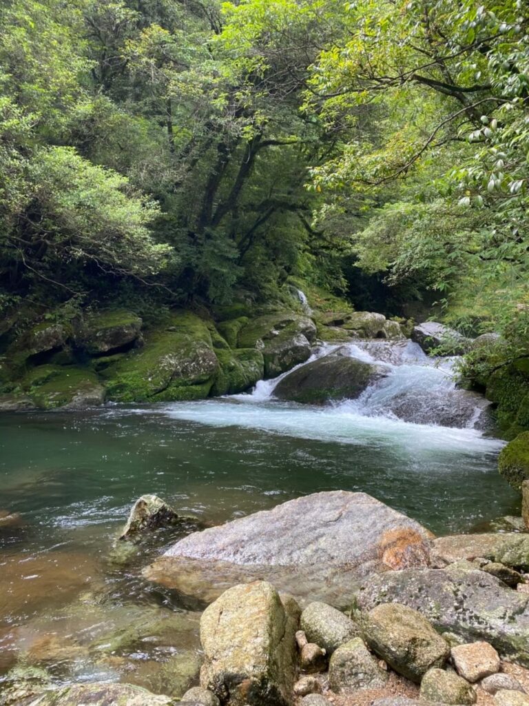 岩と川