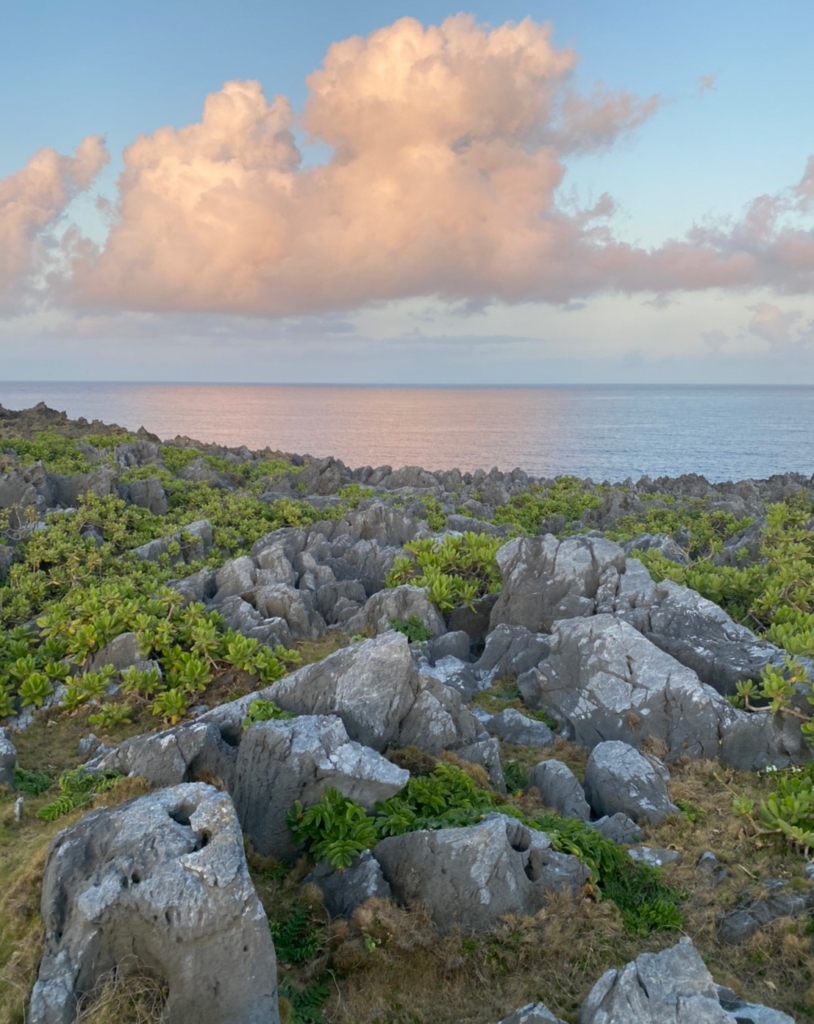 辺戸岬の岩と海