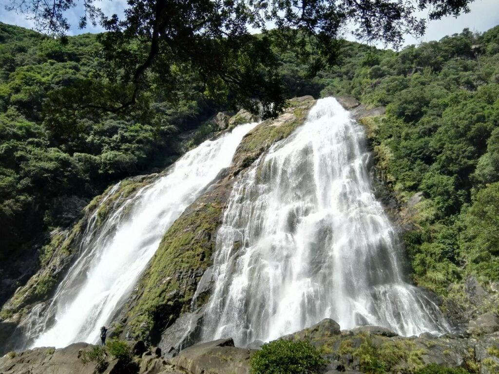 大川の滝全貌