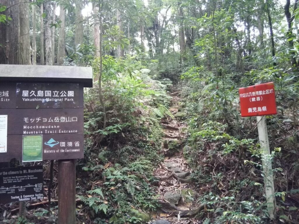 モッチョム岳登山道入り口