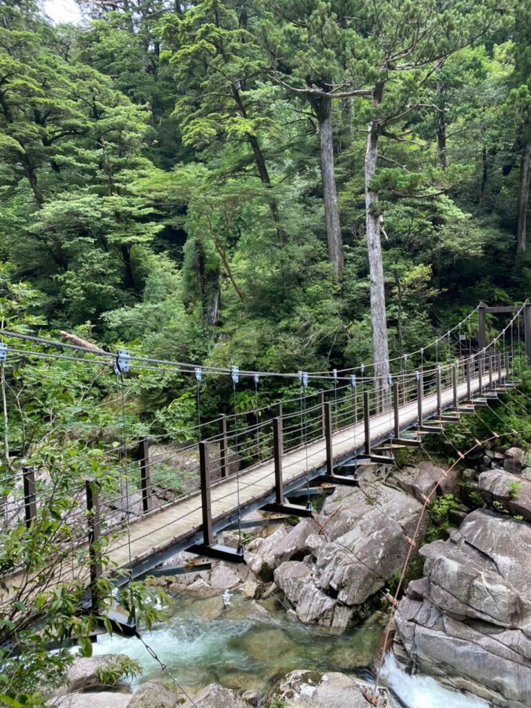 ヤクスギランドのつり橋