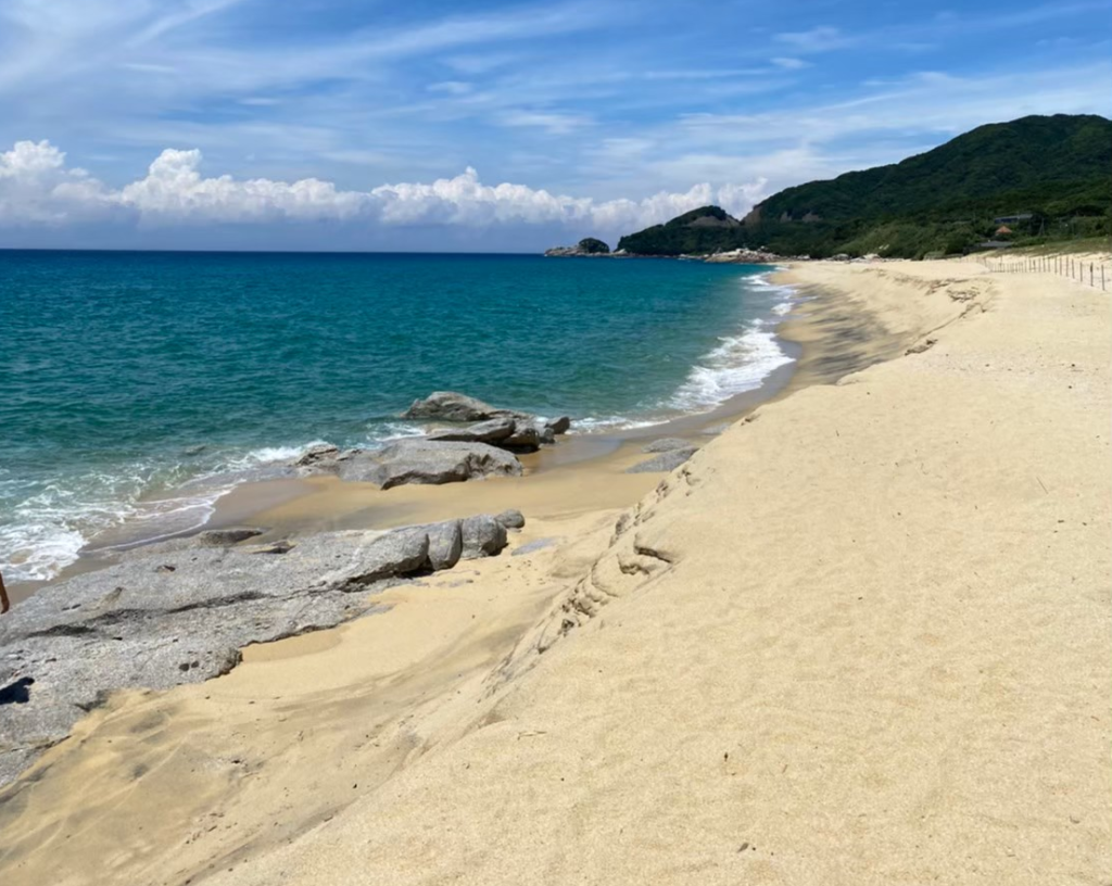 ウミガメが産卵する海