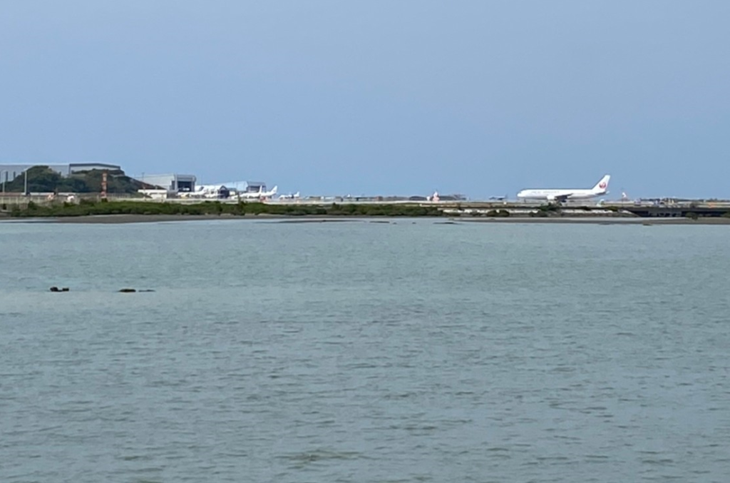 瀬長島から見た那覇空港の飛行機