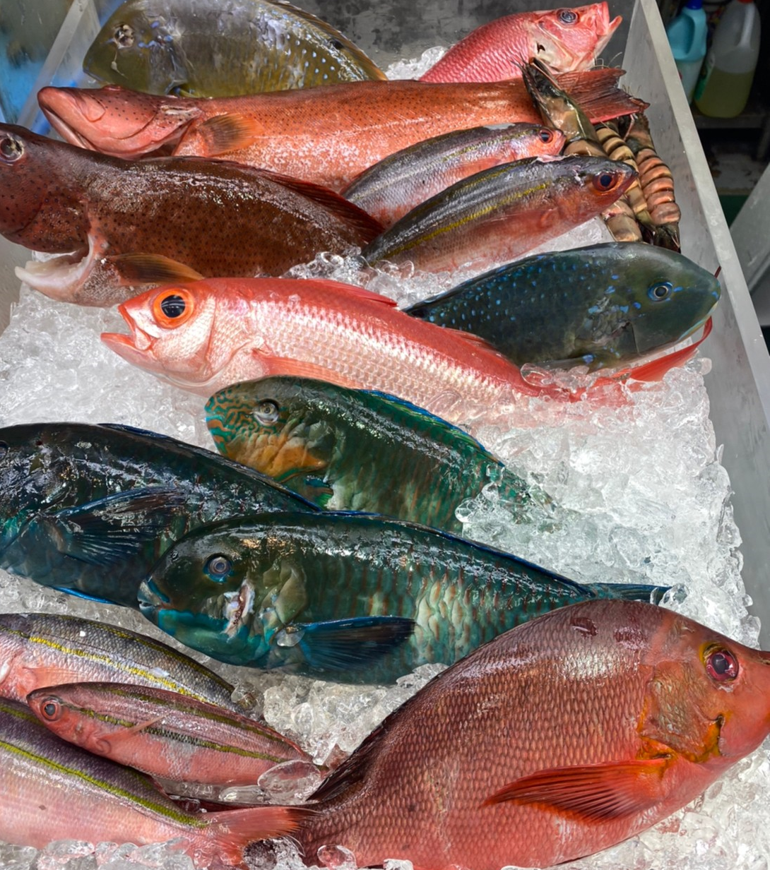 公設市場の魚