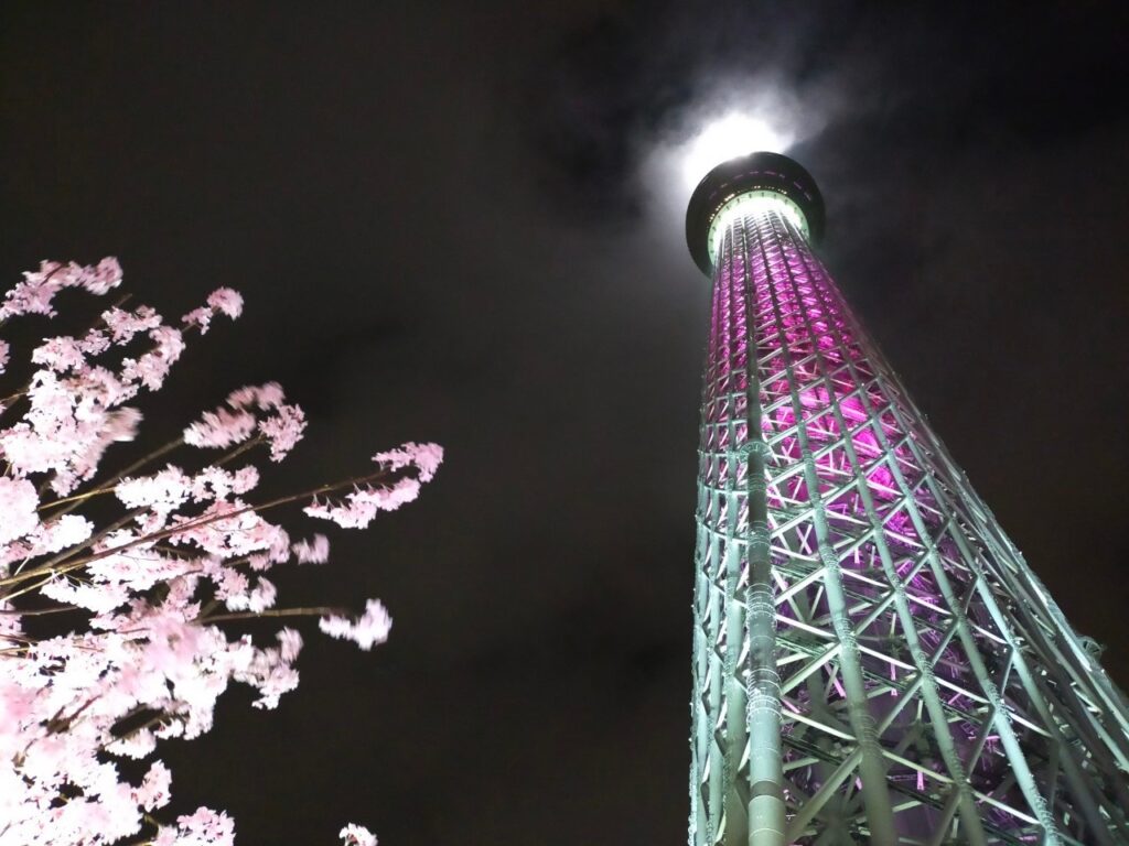 見上げて取ったスカイツリー