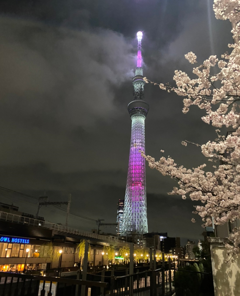 スカイツリーと桜