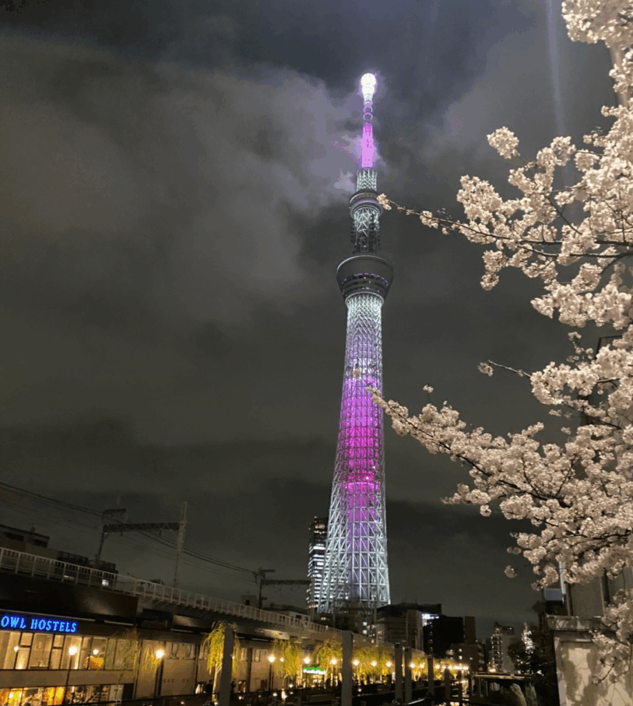 スカイツリーと桜