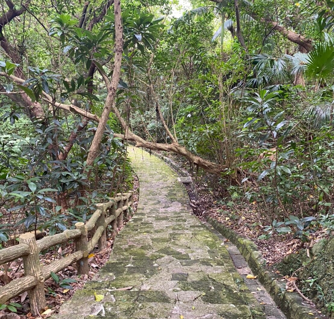 末吉公園の中の遊歩道