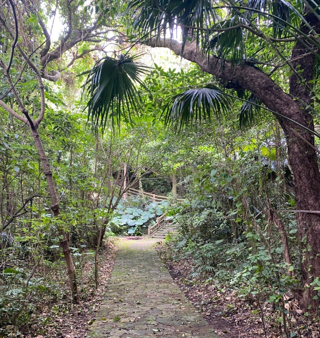 末吉公園の中の遊歩道
