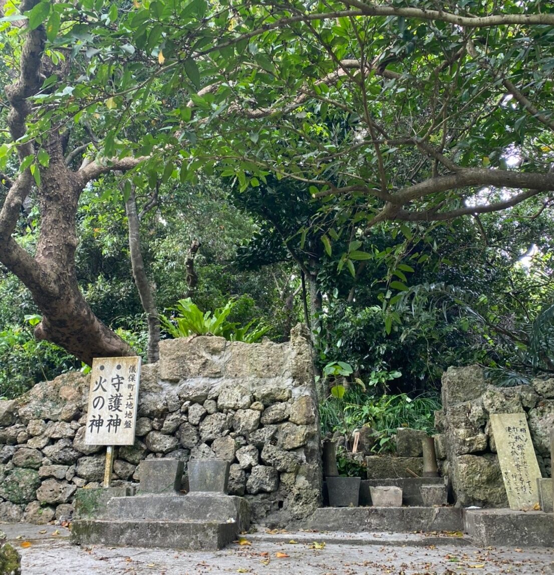 末吉公園の中の遊歩道